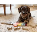 Puzzle de lettres Chien